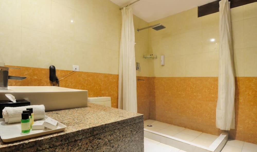 Zenith Hotel - Delhi Airport Нью-Дели Экстерьер фото